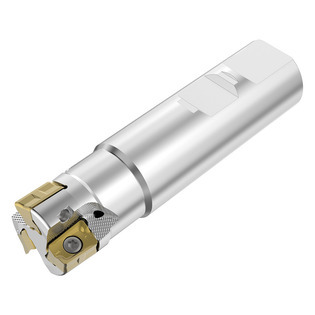 Fraise à queue cylindrique r217.64-zo11