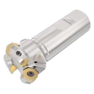 Fraise à queue cylindrique R217.43-06